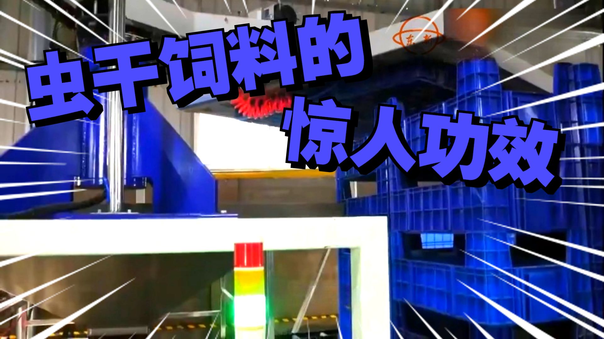 科教频道实地拍摄我们全套黑水虻自动化生产线！